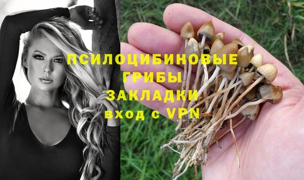 MDMA Беломорск